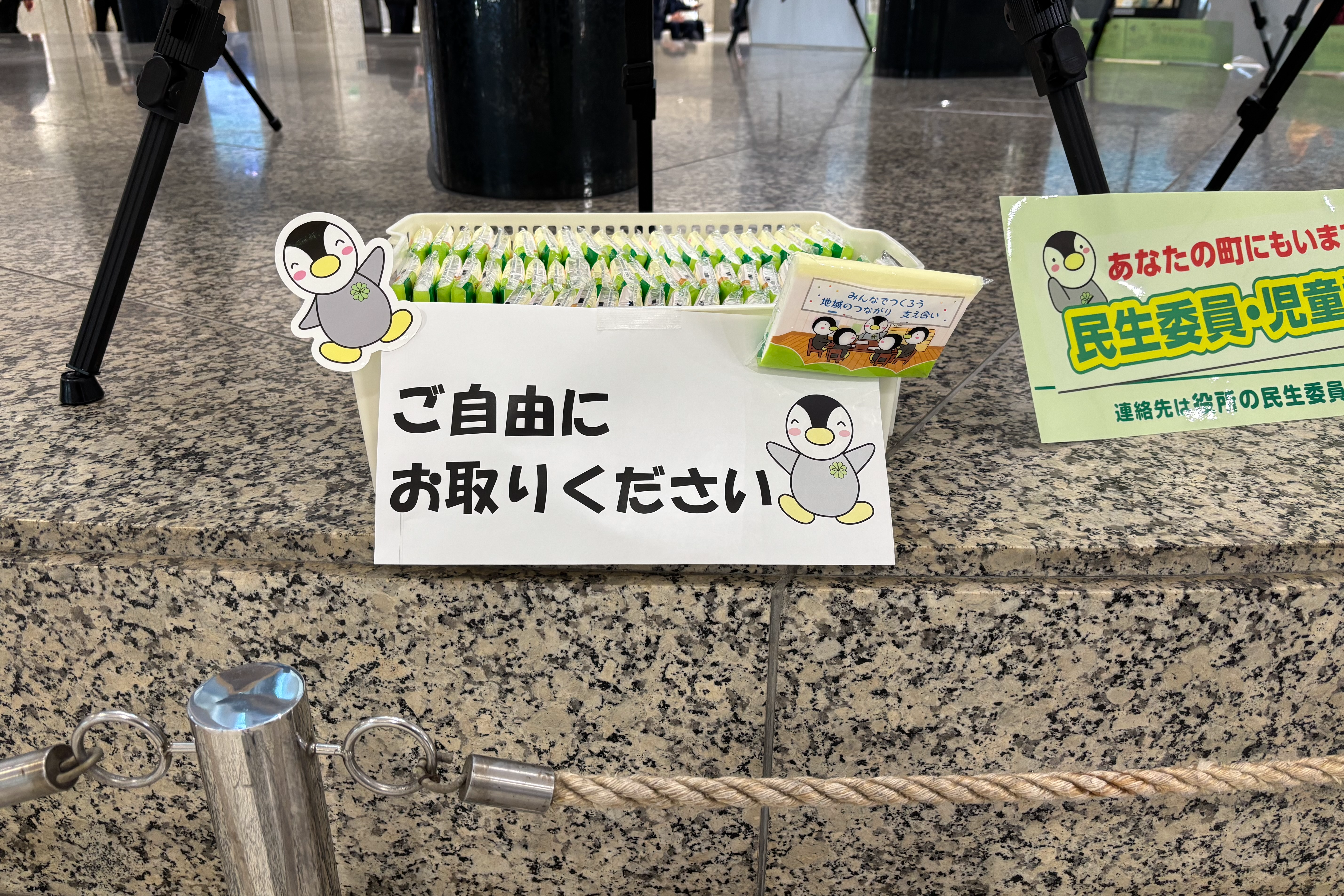 IMG_6367.jpeg